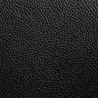 Recaro Sportster CS Leather Vienna Seat